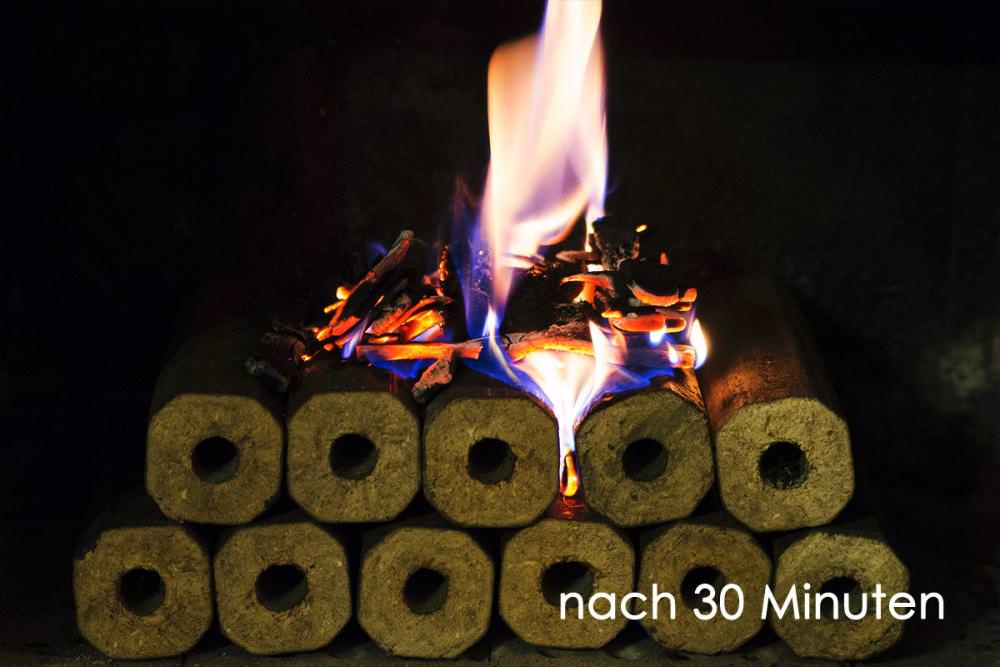 Flammen-Glutbild nach 30 Min