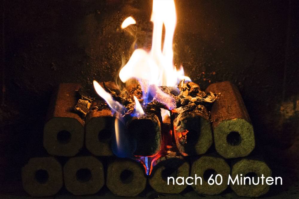 Flammen-Glutbild nach 60 Min