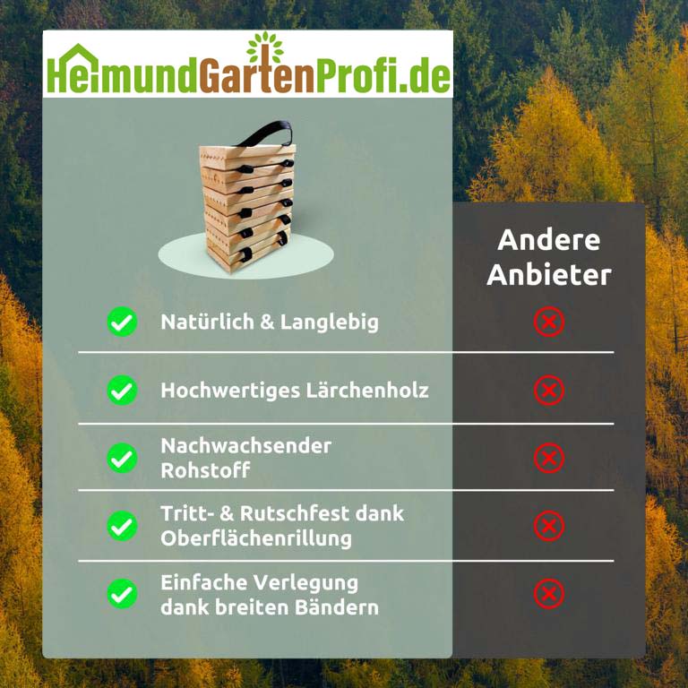 Rollweg Anbietervergleich