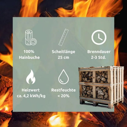 Hainbuchenholz - Daten