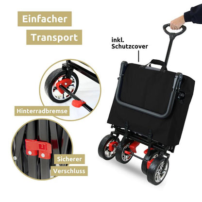 Transport Bollerwagen grau mit Dach